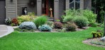 Landscaping 3